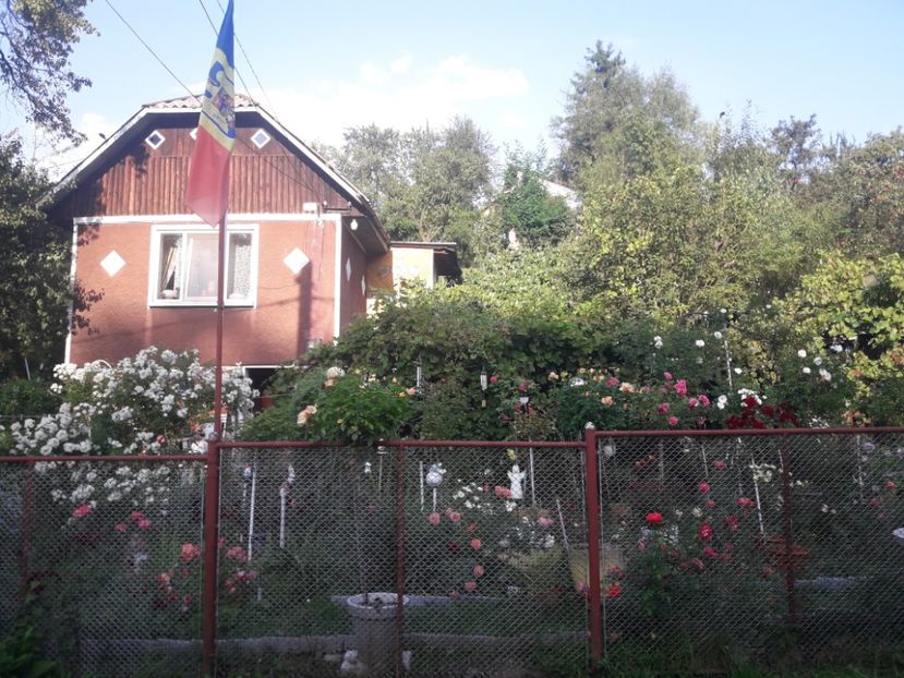  - PARTEA SAPTEA- TOAMNA-