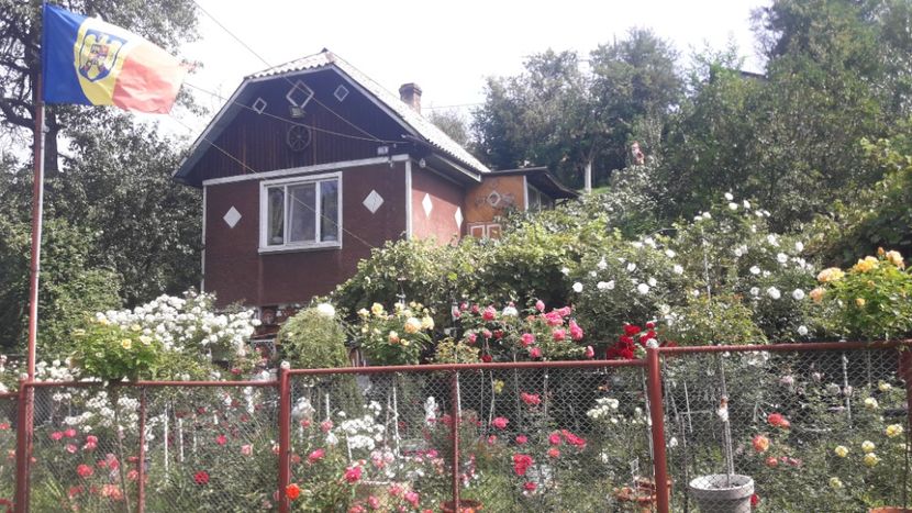  - PARTEA SAPTEA- TOAMNA-