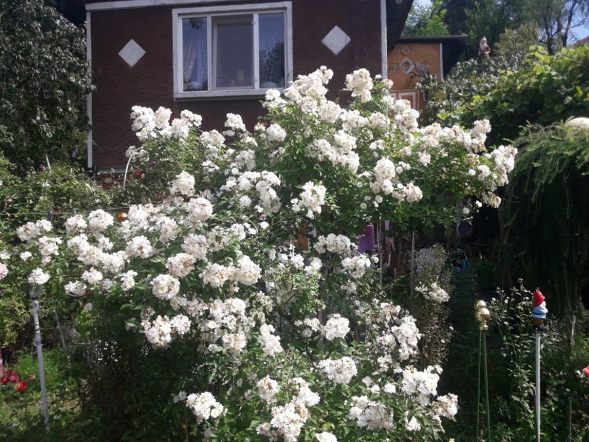  - PARTEA SAPTEA- TOAMNA-