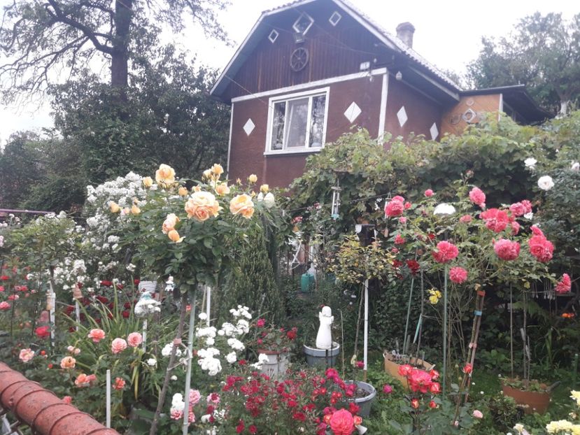  - PARTEA SAPTEA- TOAMNA-