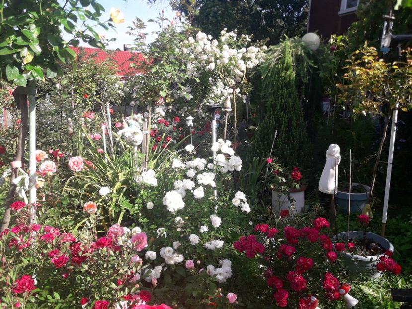  - PARTEA SAPTEA- TOAMNA-