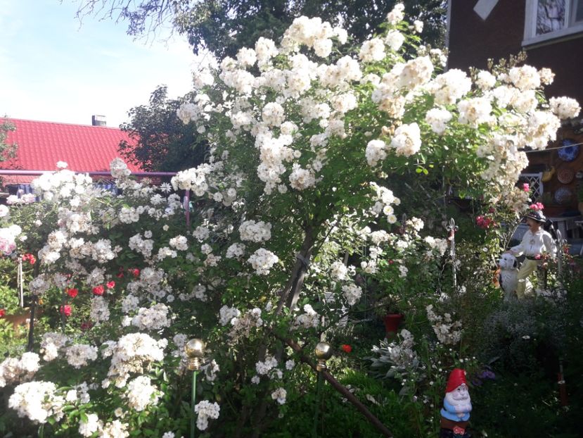  - PARTEA SAPTEA- TOAMNA-