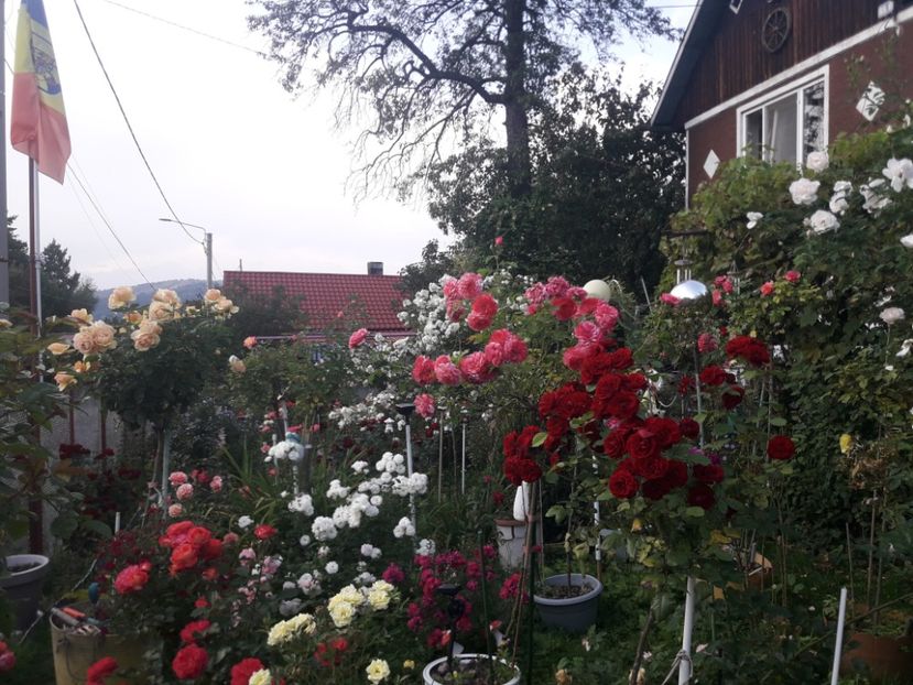  - PARTEA SAPTEA- TOAMNA-