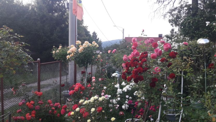  - PARTEA SAPTEA- TOAMNA-