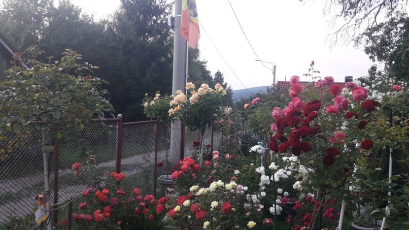  - PARTEA SAPTEA- TOAMNA-