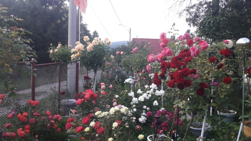  - PARTEA SAPTEA- TOAMNA-