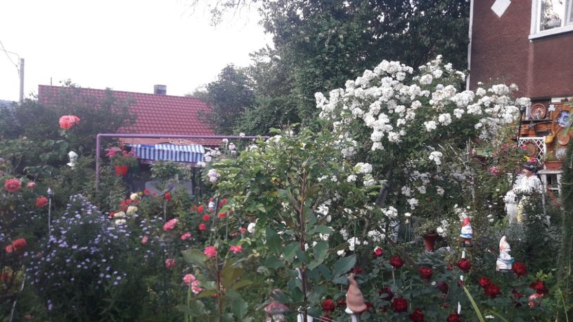  - PARTEA SAPTEA- TOAMNA-