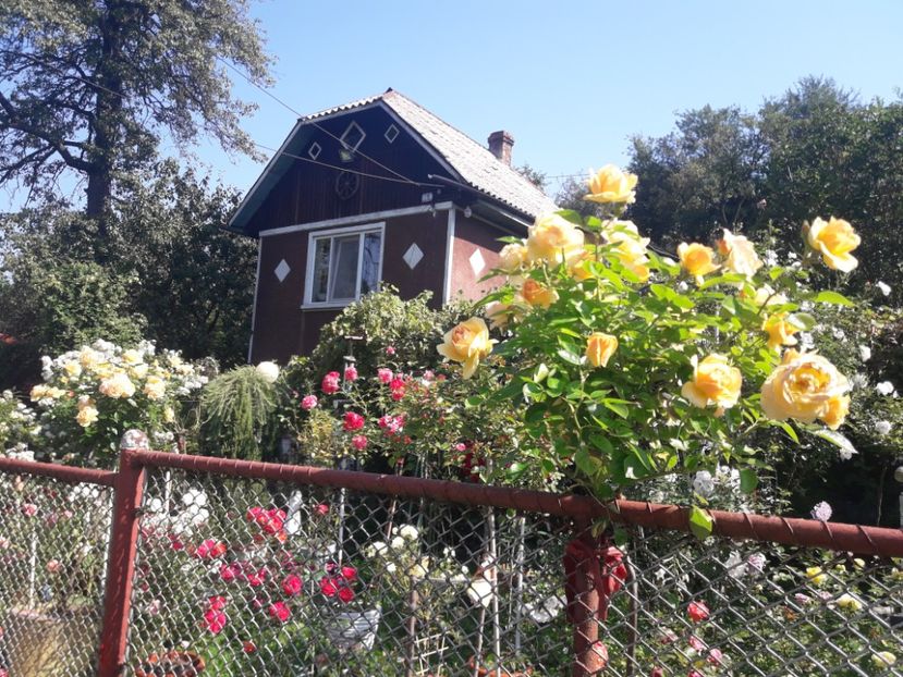  - PARTEA SAPTEA- TOAMNA-