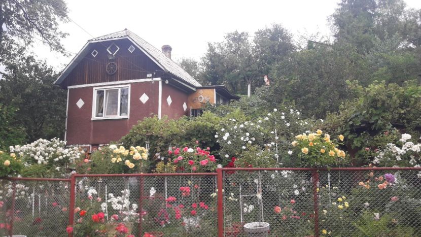  - PARTEA SAPTEA- TOAMNA-