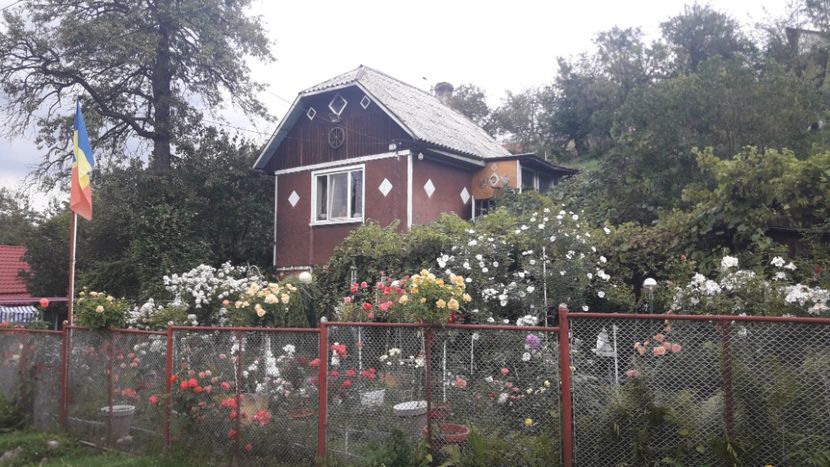  - PARTEA SAPTEA- TOAMNA-