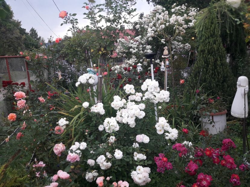  - PARTEA SAPTEA- TOAMNA-