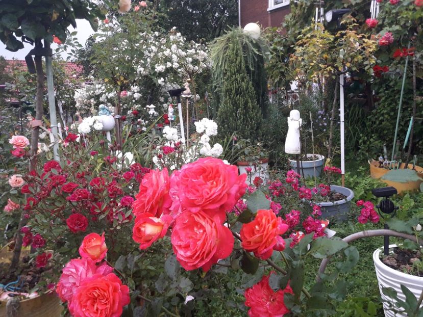  - PARTEA SAPTEA- TOAMNA-