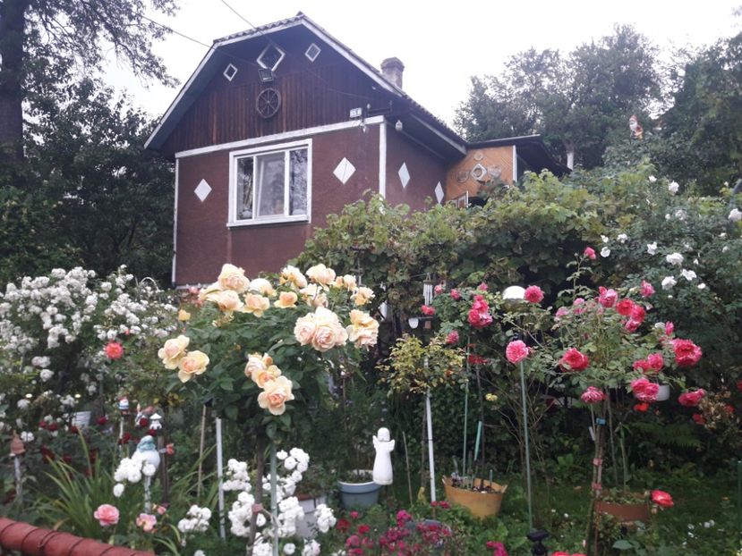  - PARTEA SAPTEA- TOAMNA-