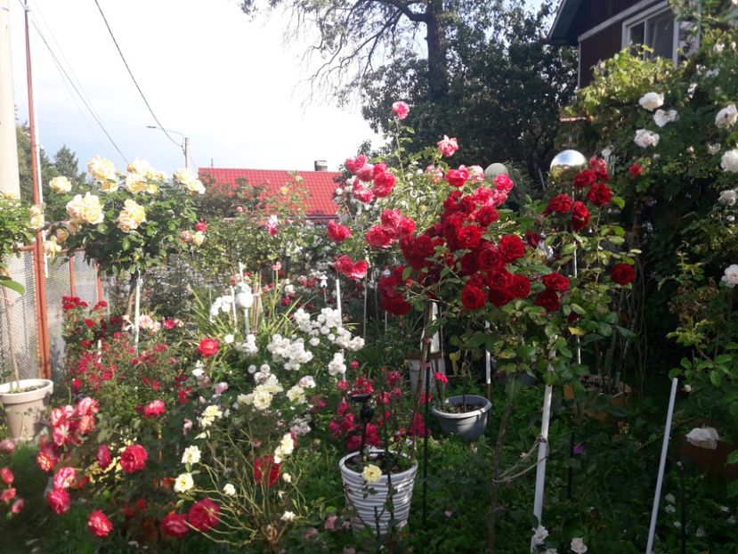  - PARTEA SAPTEA- TOAMNA-