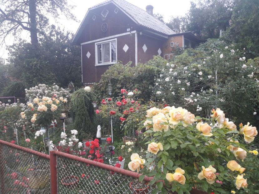  - PARTEA SAPTEA- TOAMNA-