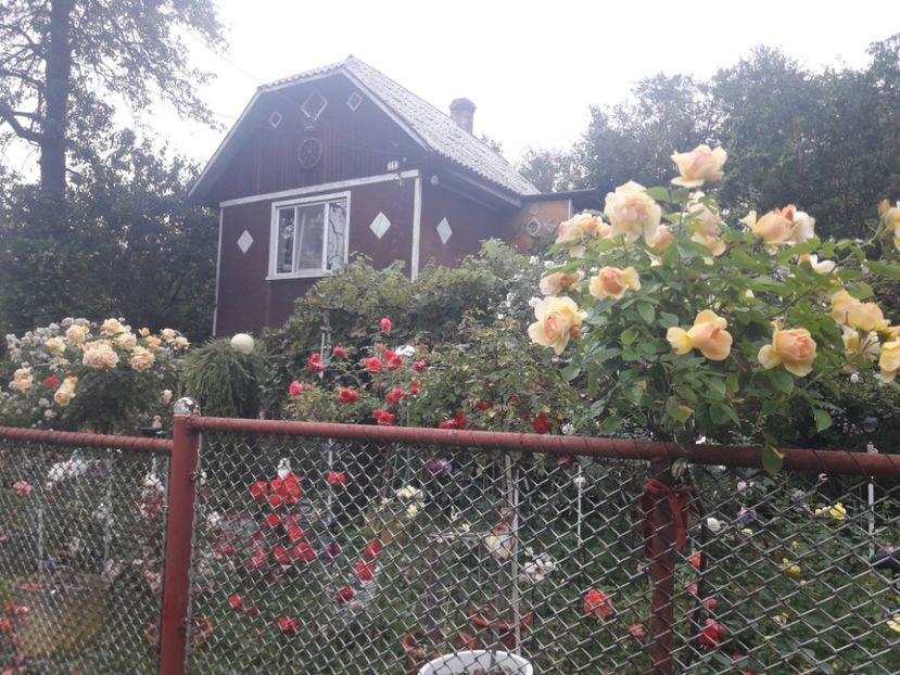  - PARTEA SAPTEA- TOAMNA-