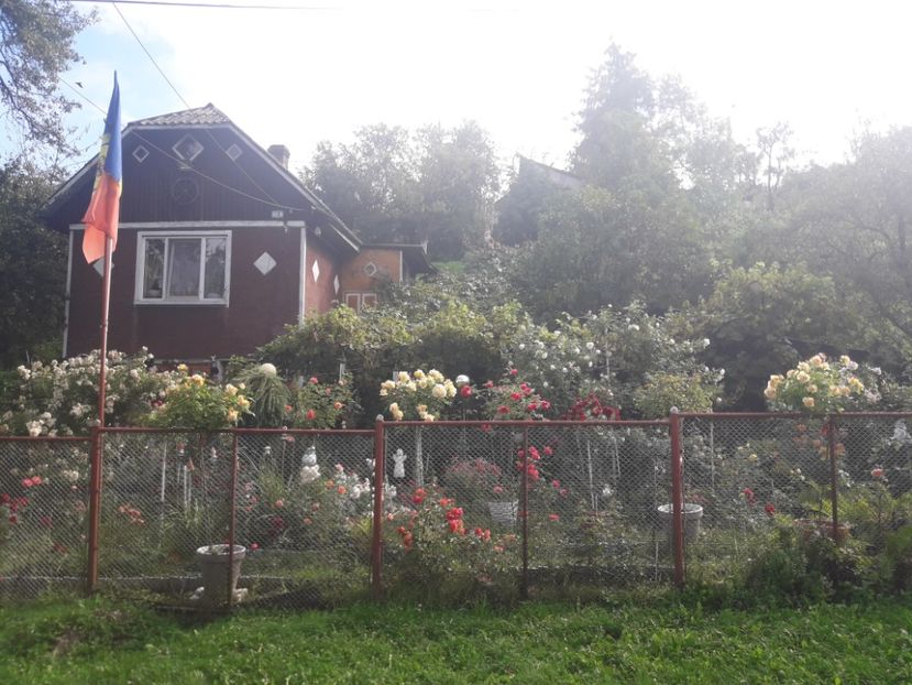  - PARTEA SAPTEA- TOAMNA-