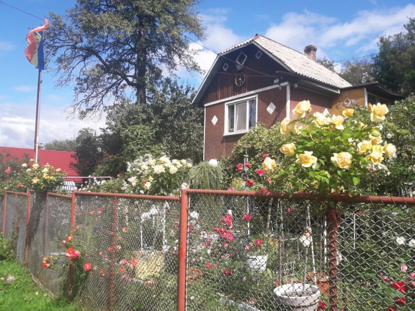  - PARTEA SAPTEA- TOAMNA-