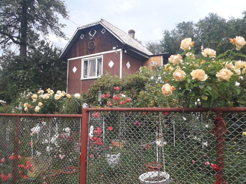  - PARTEA SAPTEA- TOAMNA-