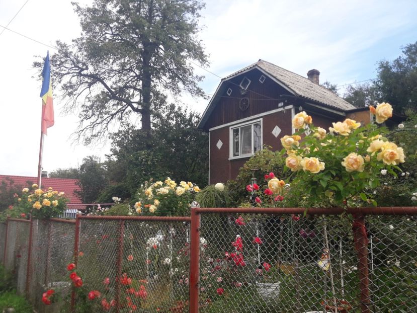  - PARTEA SAPTEA- TOAMNA-