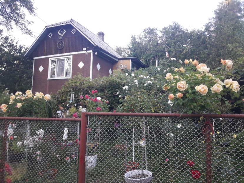  - PARTEA SAPTEA- TOAMNA-