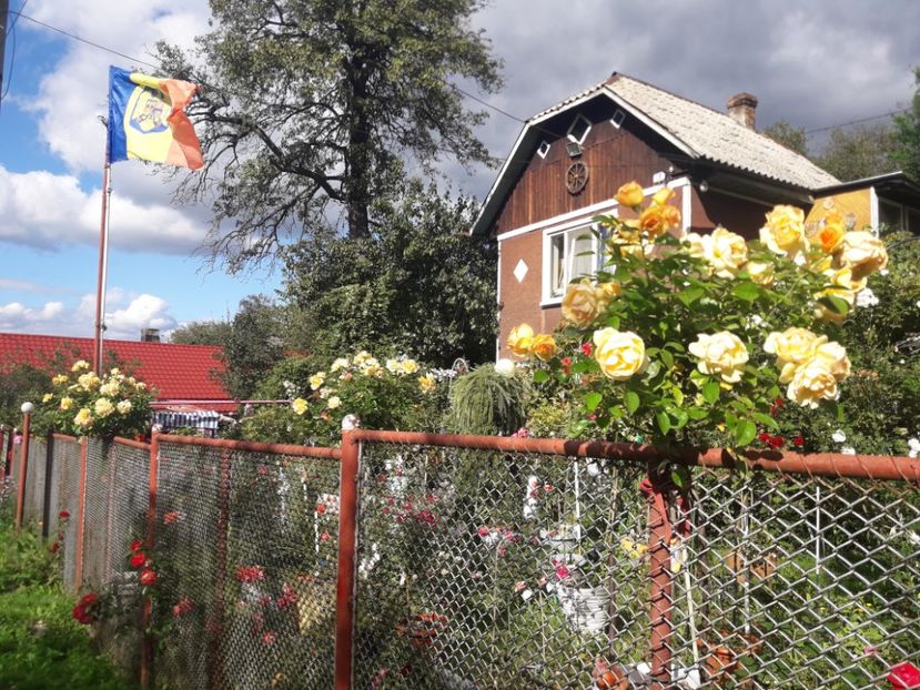  - PARTEA SAPTEA- TOAMNA-