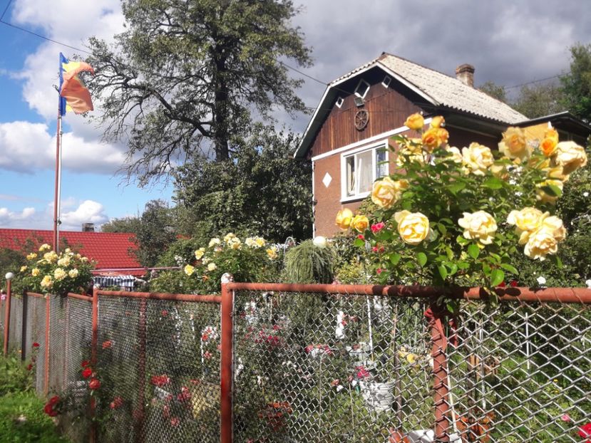  - PARTEA SAPTEA- TOAMNA-