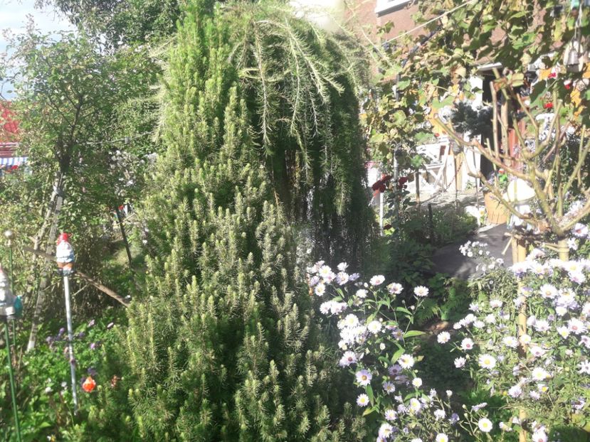  - PARTEA SAPTEA- TOAMNA-