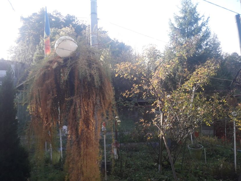  - PARTEA SAPTEA- TOAMNA-