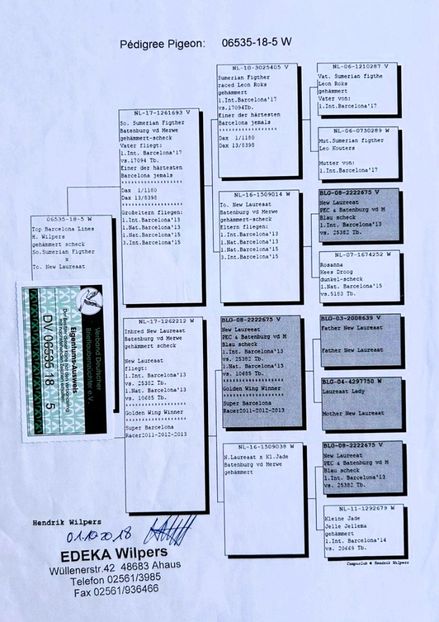 PED LEO LAUREAAT - LEO LAUREAAT - nepot NEW LAUREAAT nepot SUMERIAN FIGHTER