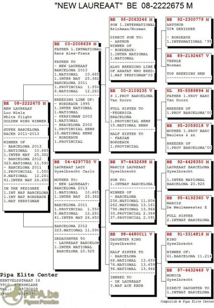 new_laureaat_ped_2 (1) - LEO LAUREAAT - nepot NEW LAUREAAT nepot SUMERIAN FIGHTER