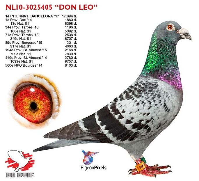 roks-leonnl10-3025405 (1) - LEO LAUREAAT - nepot NEW LAUREAAT nepot SUMERIAN FIGHTER