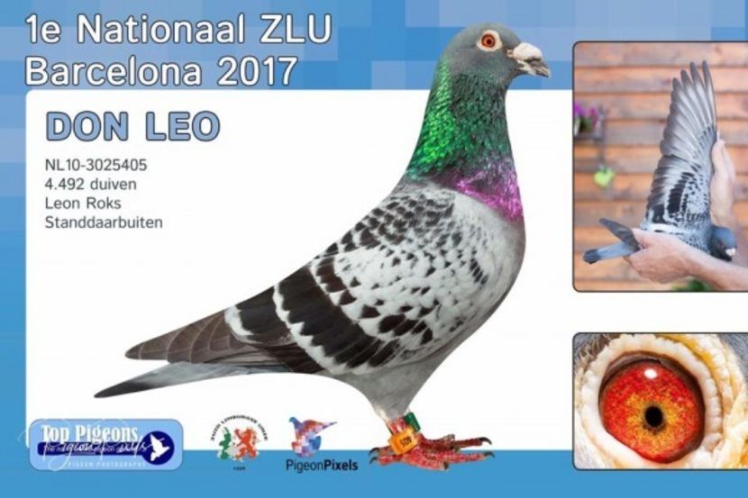  - LEO LAUREAAT - nepot NEW LAUREAAT nepot SUMERIAN FIGHTER