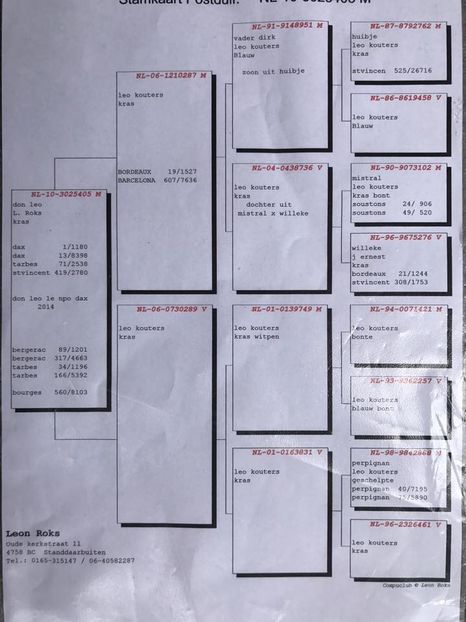 ped - LEO LAUREAAT - nepot NEW LAUREAAT nepot SUMERIAN FIGHTER