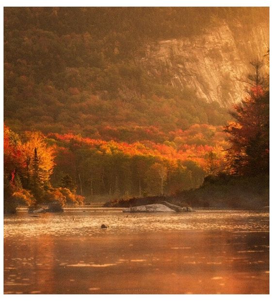  - Incredibly Nostalgic