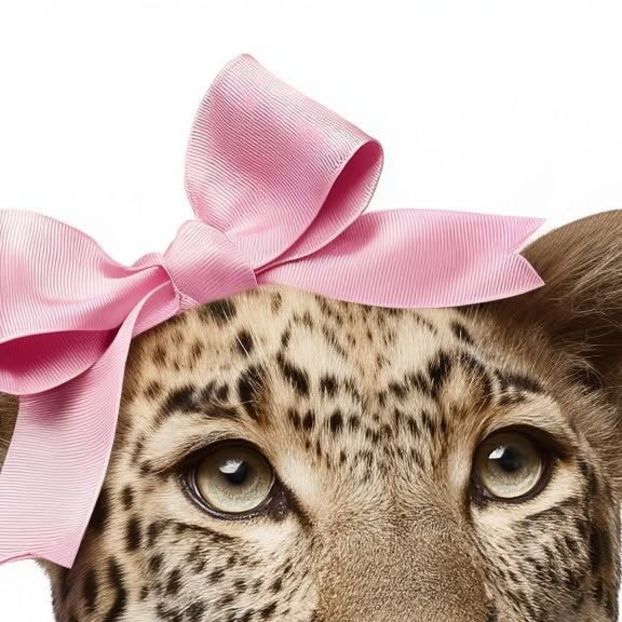  - Nothing But Longing