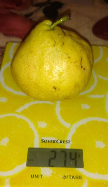 Goiciu 274 gr - Goiciu