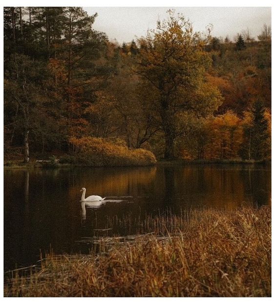 ♡ ɴᴏᴠᴇᴍʙᴇʀ 9 » - Incredibly Nostalgic