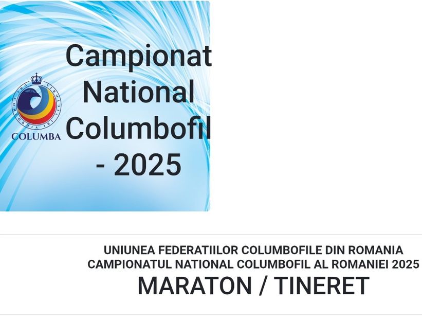 Daniela 2025_Collumba - Vochin George Meula