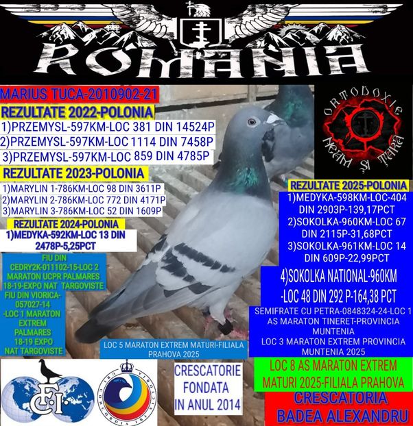 MARIUS TUCA-2010902-21- - 2025-PORUMBEI CU REZULTATE NOTABILE-COLUMBA-BADEA ALEXANDRU