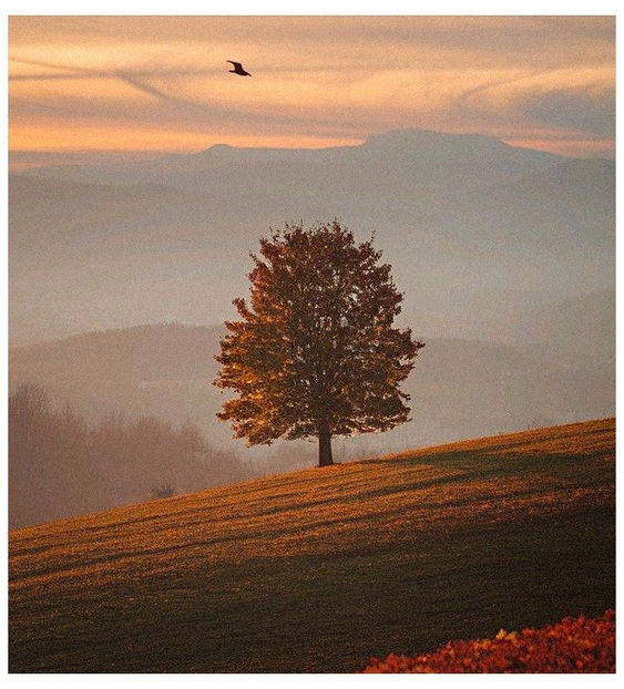 ♡ ɴᴏᴠᴇᴍʙᴇʀ 10 » - Incredibly Nostalgic