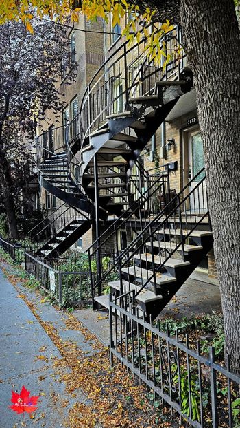 Montreal Fall 8 - MONTREAL -- CANADA