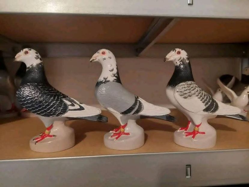  - Nu îmi aparțin 11