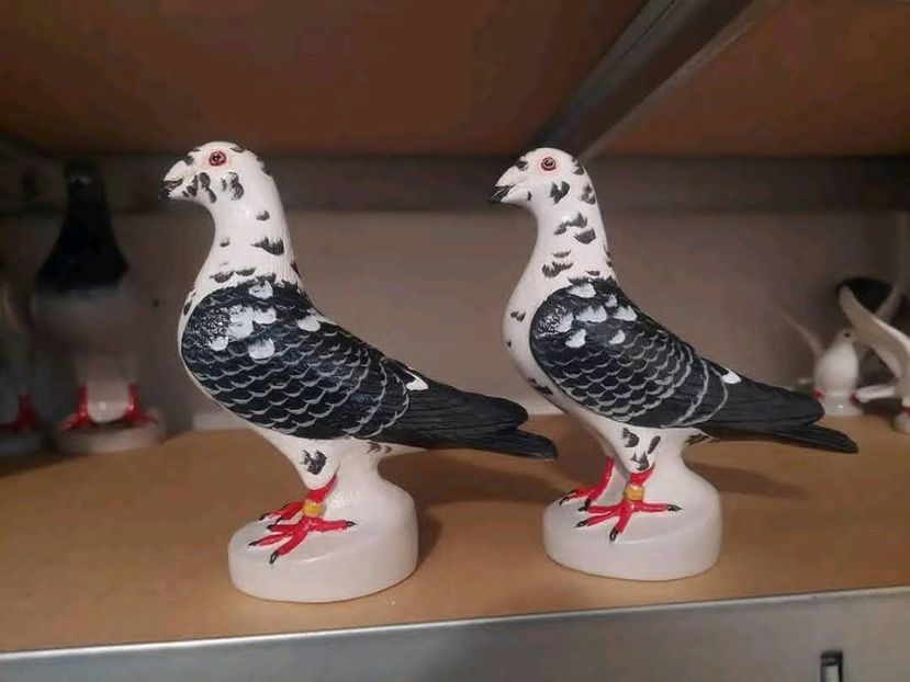  - Nu îmi aparțin 11