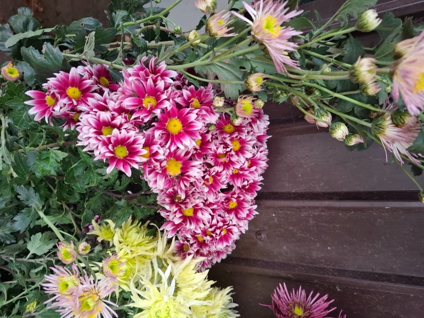  - Tufanele și crizanteme