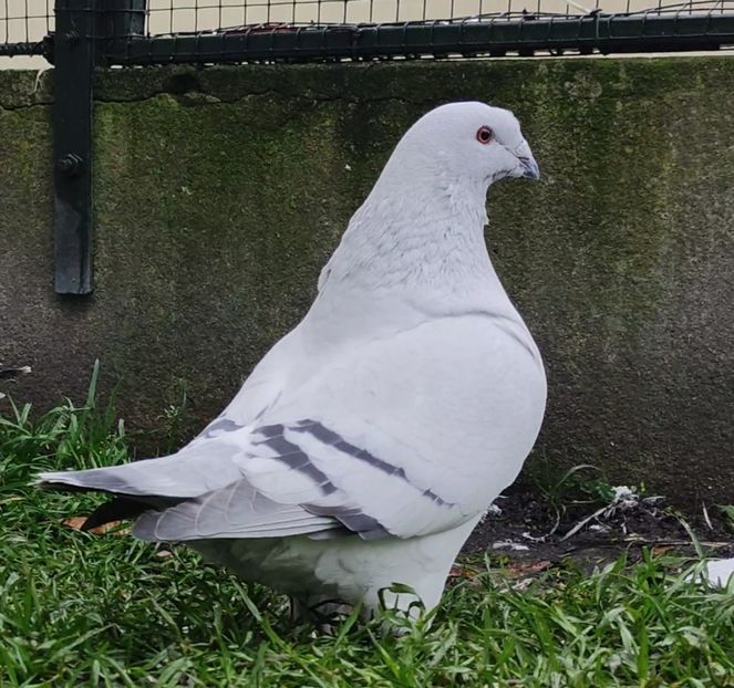 10 - c- MLODE 2025 YOUTH