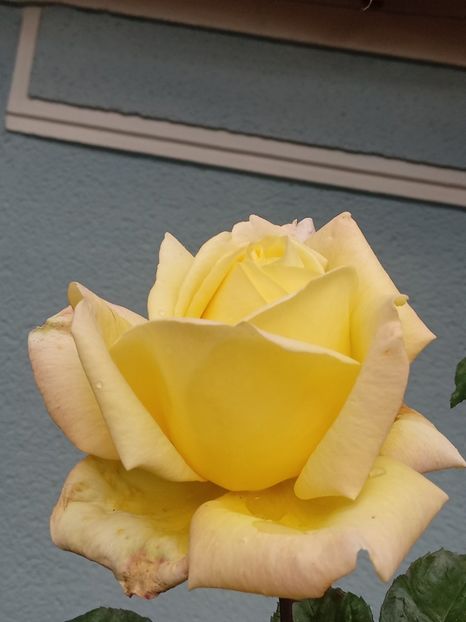  - SEPTEMBRIE-OCTOMBRIE - NOIEMBRIE