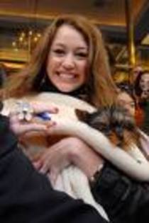 imagesCA8GIUMK - mIlEy cYrUs