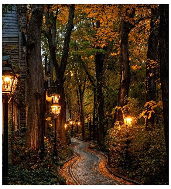 ♡ ɴᴏᴠᴇᴍʙᴇʀ 12 » - Incredibly Nostalgic