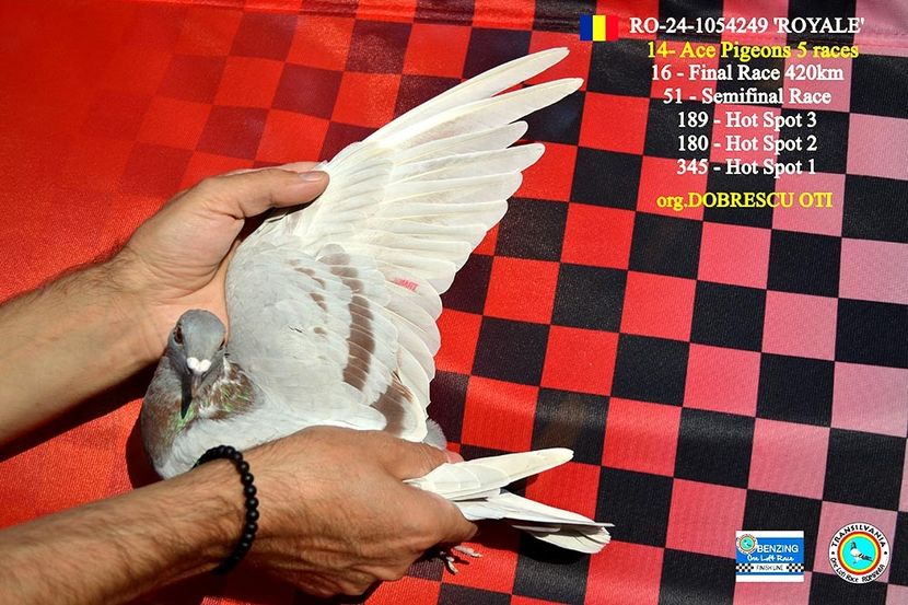 1. 249-24 - 5 - De vanzare